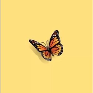 Meet your Posher, Layla